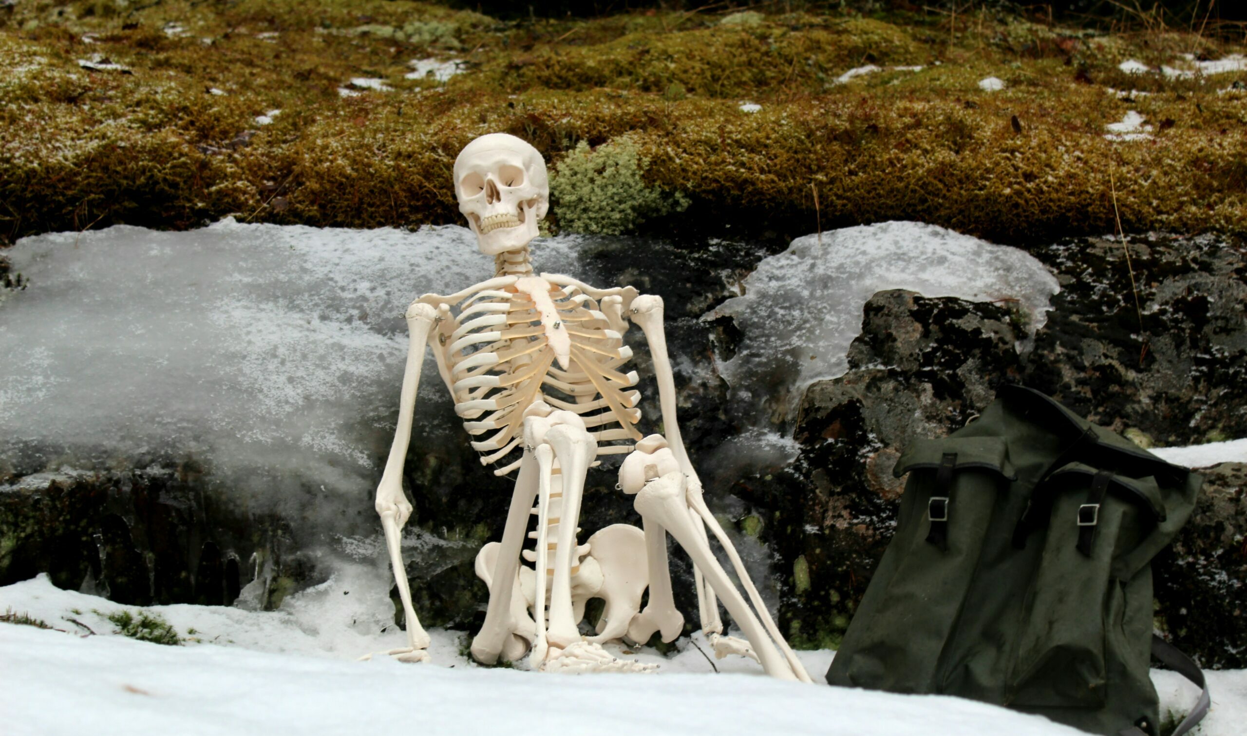 Exercise Tips for Those with Osteoarthritis Mackarey & Mackarey PT